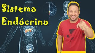 Sistema Endócrino  Conceito Função e Componentes  Hormônios  Fisiologia Humana  Aula 1 [upl. by Roselia]