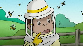 Georges le Petit Singe 🐵 Comment les abeilles fabriquentelle le miel 🐵Animation Pour Enfants [upl. by Sherlocke942]