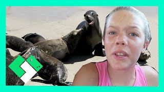 KIDS EXPLORE SEAL BEACH Day 1539  Clintustv [upl. by Marcia895]