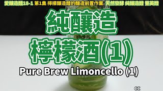 原創 檸檬苦素的純釀造全過程 檸檬酒1CC天然發酵Limoncello 1 リモンチェロ（1）Limoncello 1 愛釀造醋181台灣南庄豐英醋 [upl. by Kcirre]