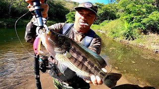 Pesca de Guapote y Machaca en río Tempisque de Guanacaste Costa Rica [upl. by Scarlet99]