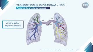 Tromboembolismo pulmonar  Parte 1 [upl. by Seabrook]