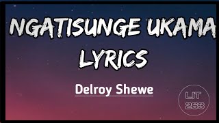 Delroy Shewe  Ngatisunge ukama Lyrics [upl. by Wolliw]