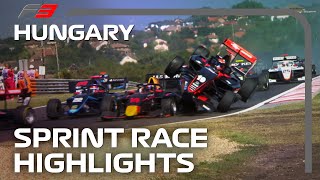 F3 Sprint Race Highlights  2023 Hungarian Grand Prix [upl. by Izy]