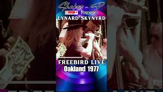 Lynyrd Skynyrd  Freebird 1977 LIVE in Oakland [upl. by Yokoyama180]