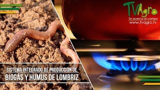 Sistema Integrado de Producción de Biogás y Humus de Lombriz  TvAgro por Juan Gonzalo Angel [upl. by Stochmal313]