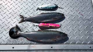 Summer Kokanee Fishing on Lake Chelan [upl. by Atinrahc573]