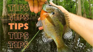 Summer bream fishing tips  rod and reel panfish fishing [upl. by Romine821]