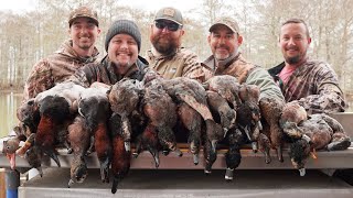 2 Hours of INCREDIBLE Limits and Louisiana Duck Hunts to Fall Asleep To [upl. by Essirahc]