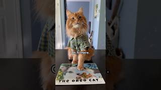 10 OFF our 2025 calendar until tomorrow Code BOOKMAKER10 🧡 Link in description catsofshorts [upl. by Chuah]