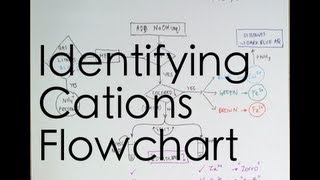 Flowchart for Identifying Cations [upl. by Kenta413]