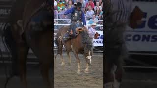 Bucking bronc riding buckaroos shorts [upl. by Pardo]