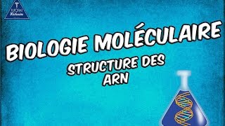 Structure des ARN [upl. by Licastro984]