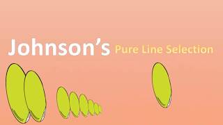 Johnsons Pure Line Selection [upl. by Gosnell]