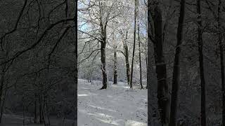 PRIMI FIOCCHI DI NEVE IN ABRUZZO [upl. by Patsis]