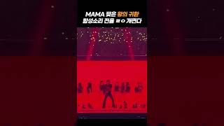 도입부 나오고 함성소리 터질 때 진짜 소름돋음ㄷㄷㄷ 😲😲😲 빅뱅 MAMA 쇼 [upl. by Imot]