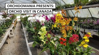 Orchidomania Presents Canadian Orchid Visit [upl. by Aubine]