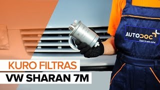 Kaip pakeisti Kuro filtras VW SHARAN 7M PAMOKA [upl. by Caresa11]