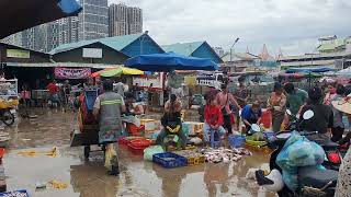 Phnom Penh Fish Market Cambodian Fish Market [upl. by Bramwell]