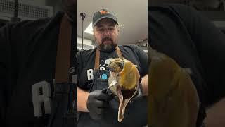 How to clean and process whelks aka scungilli shorts whelks scungilli [upl. by Bullivant]