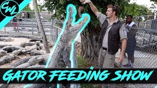 MY LAST GATOR FEEDING SHOW AT THE FARM [upl. by Glynda16]