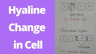 Hyaline change in reversible cell injury Morphology of reversible cell injury  1 year B pharma [upl. by Marlene480]