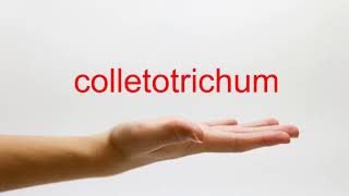 How to Pronounce colletotrichum  American English [upl. by Susejedairam]