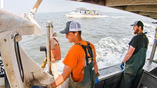 How Competitive are Crabbers [upl. by Caterina]