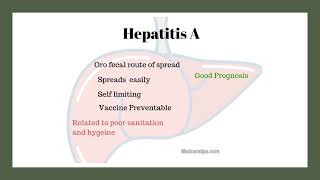 Hepatitis A in children Frequent asked Questions [upl. by Nyluqcaj]