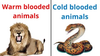 warm blooded and cold blooded animals in hindi  difference between warm and cold blooded animals [upl. by Filipe]