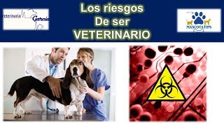 ¿ES RIESGOSO SER VETERINARIO [upl. by Humphrey]