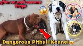 Dangerous Pitbull Dog Kennel Per Gye 😨 Worlds Most Aggressive Pitbull 😡 [upl. by Jaella433]