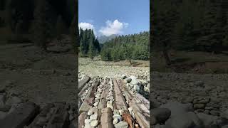 Panai chu yousuf Pani zulaikha ytshorts yt ytshortsindia kashmirkashmirisong waterbeautiful [upl. by Atorod]