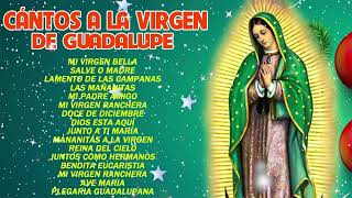 Los Berrenditos Cantos y Alabanzas a la Virgen de Guadalupe🙏Cántos a la virgen de Guadalupe🙏 [upl. by Nylirrehs468]