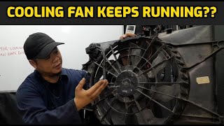 WHY RADIATOR COOLING FAN KEEPS RUNNING AND WONT TURN OFF [upl. by Nauqram]