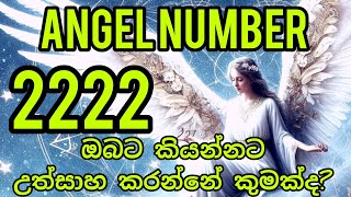 2222 ඔබත් දකිනවද විශ්වය ඔබට කියන්නට යන්නේ කුමක්ද angel number 22222222 meaning [upl. by Darryl615]