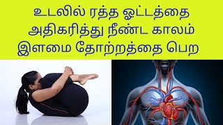 Yoga For Full Body Blood Circulation And Anti Ageing in Tamil By DrLakshmi Andiappan [upl. by Dahaf]