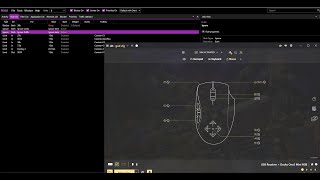 AIM ASSIST ON MnK  Destiny 2 REWASD BEST SETTINGS FREE XIM CONFIG [upl. by Mushro]