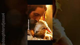 Charwaha Mera🐑✝️daughterofjesus4 goodshepherd shepherd jesus shorts shortvideo trending yt [upl. by Otero691]