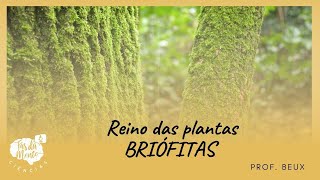 BRIÓFITAS  Reino das Plantas  Ensino Fundamental [upl. by Enetsirk554]