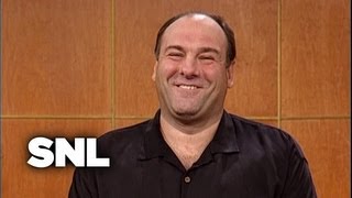 James Gandolfini  Saturday Night Live [upl. by Aurilia330]