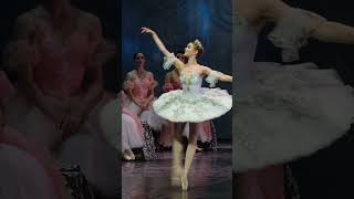 classical Russian ballet The Nutcracker [upl. by Renat]