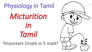 Micturition reflex in Tamil  Nerve supply and Anatomy of urinary bladder and urethra in Tamil [upl. by Etennaej]