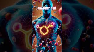 Anatomy quiz class 06⁉️⁉️biologyquizanatomyanatomytestbiologytestshortsytshortsquiz [upl. by Kynthia]