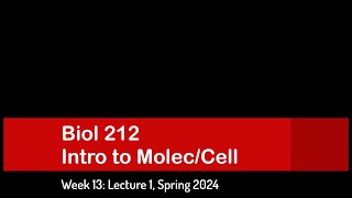 CSULB Spring 2024 Biol 212  Week 13 Lecture 1 [upl. by Drus]