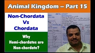 Non chordates and Chordates  Animal Kingdom  NEET Bio  Part 15 [upl. by Leumhs]