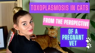 Toxoplasmosis in cats Is it safe to keep your cat if youre pregnant [upl. by Zeb]