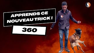 APPRENDS CE NOUVEAU TRICK  360 [upl. by Newlin]