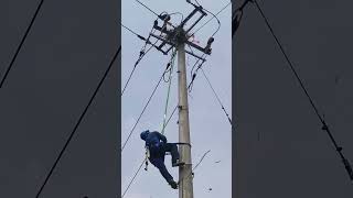 Birdnest removal process from the power transmission pole [upl. by Truc]