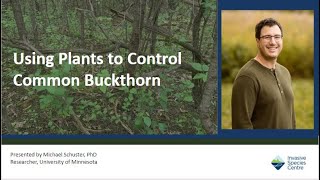 Using Plants to Control Common Buckthorn [upl. by Norha]